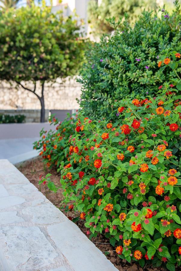 كاتو ذاراتسو Stellina Village المظهر الخارجي الصورة